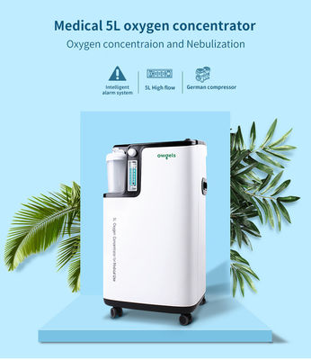 medizinischer tragbarer Verdichter des Sauerstoff-220V 5 Liter pro Minute